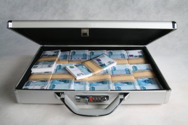 Beyaz arka plan üzerinde para dolu bir çantayla