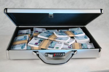 Beyaz arka plan üzerinde para dolu bir çantayla