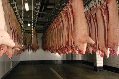 Dolapta domuz karkas