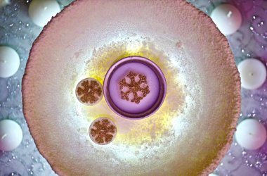 Yuvarlak bir vazoda kar tanesi şeklinde mumlar.