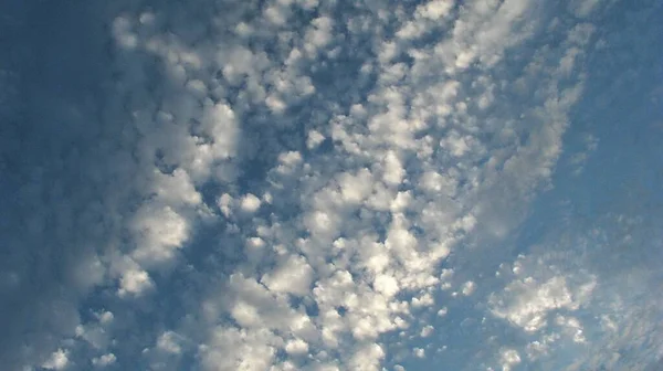 Små Hvide Cumulus Skyer Blå Himmel - Stock-foto