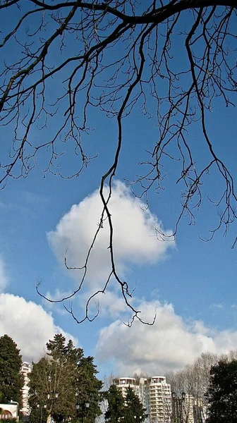 figures of large cumulus clouds above the city