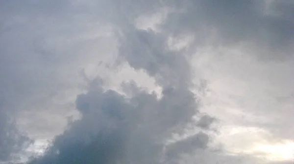 Gray Sky Clouds Similar Animals — Stock Photo, Image