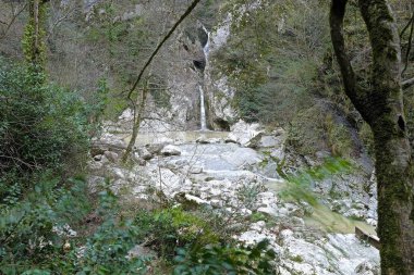 Baharda genç yapraklarla çevrili vahşi bir vadide şelale.