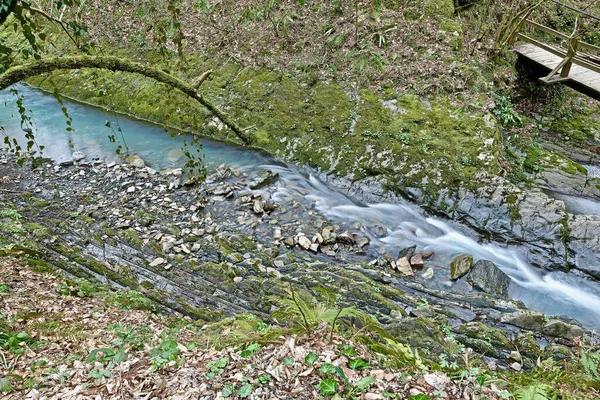 Rivière Montagne Avec Petit Pont Printemps Dans Gorge — Photo