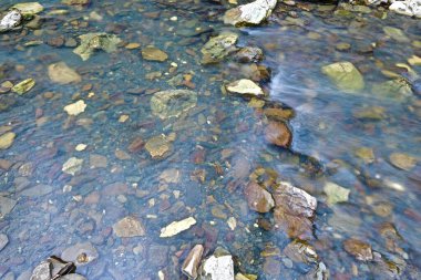 Dağ nehrinin berrak sularındaki taşlar.
