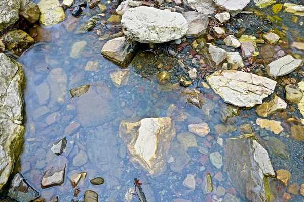 Dağ Nehrinin Berrak Sularındaki Taşlar — Stok fotoğraf