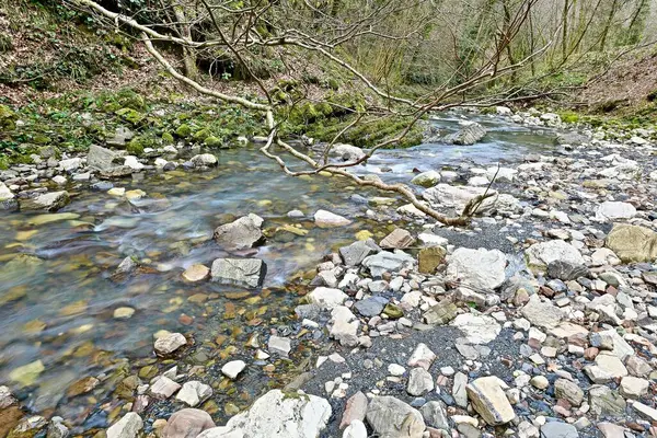 Kameny Průzračné Vodě Horské Řeky — Stock fotografie