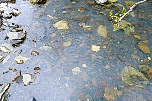 Dağ Nehrinin Berrak Sularındaki Taşlar — Stok fotoğraf