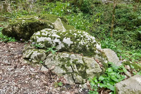 Kamienie Mchu Wiosennym Górskim Wąwozie — Zdjęcie stockowe