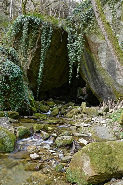 Pierres Couvertes Mousse Lierre Dans Une Gorge Montagne Subtropicale — Photo