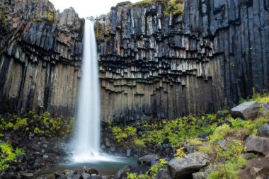 İzlanda 'da Svartifoss Suları