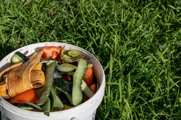 Ember putih sayur dan kulit buah terhadap gra hijau panjang — Stok Foto