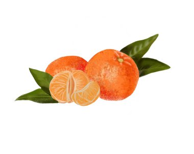 Beyaz arka planda yeşil yapraklı turuncu mandalinalar.