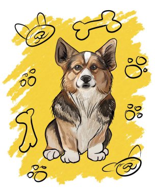 Sarı arkaplanda üç renkli corgi 
