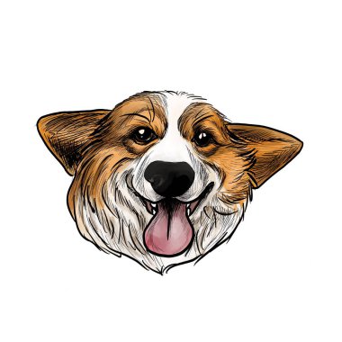Komik gülümseyen Galler Corgi Pembrok