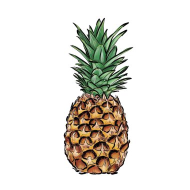  Parlak ananaslı çizim