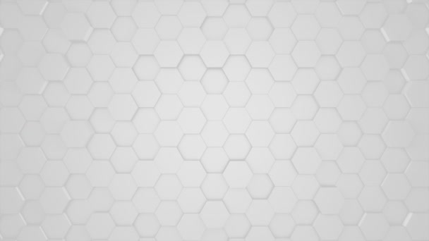 Bezproblémově Loopable Subtle Slow Moving Corporate Gray Hexagons — Stock video