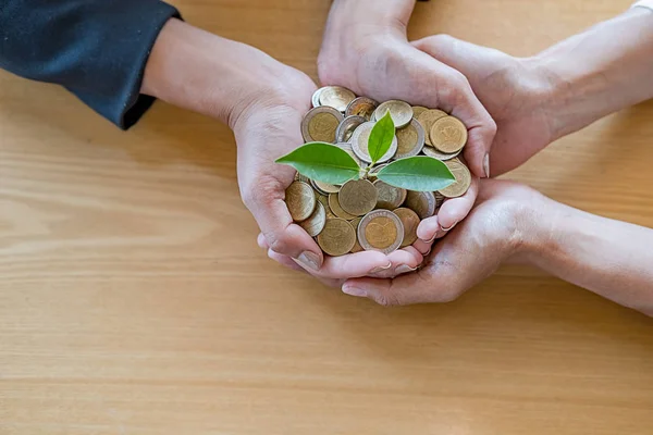 İş adamları, yatırım fonu finansmanı ve iş dünyasından çıkar sağlamak için para üzerinde büyüyen ağaçlarla takım çalışması yapıyor. Yardım ve İşbirliği İş Konsepti.