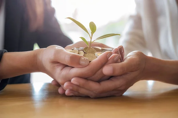 Businessmen teamwork hands with trees growth up on coin to profit investment mutual fund finance and business. Help and Collaboration Business Concept.