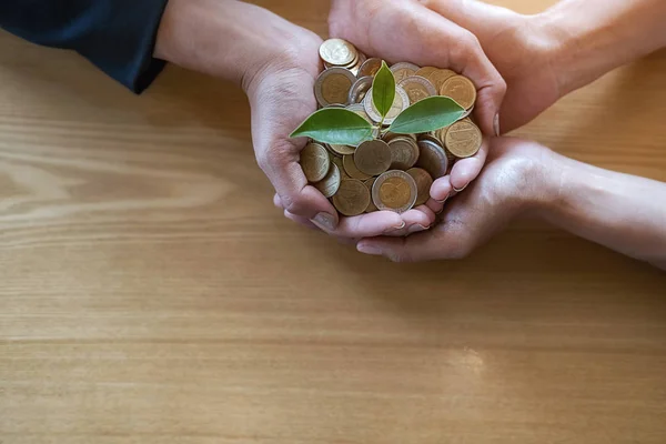İş adamları, yatırım fonu finansmanı ve iş dünyasından çıkar sağlamak için para üzerinde büyüyen ağaçlarla takım çalışması yapıyor. Yardım ve İşbirliği İş Konsepti.