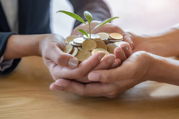 Businessmen teamwork hands with trees growth up on coin to profit investment mutual fund finance and business. Help and Collaboration Business Concept.