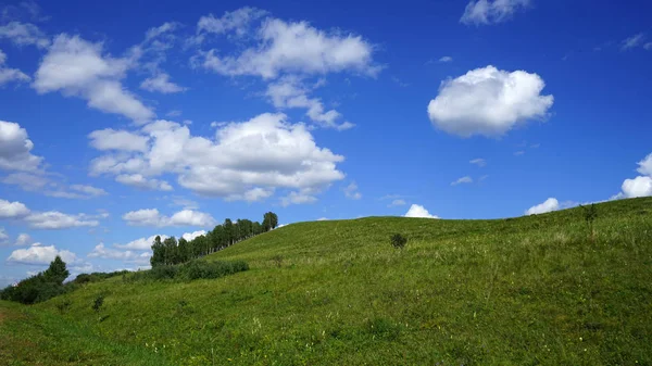 Sibirya bozkırlarında yaz