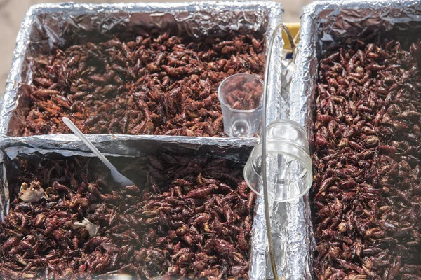 Crickets to eat, Mexico