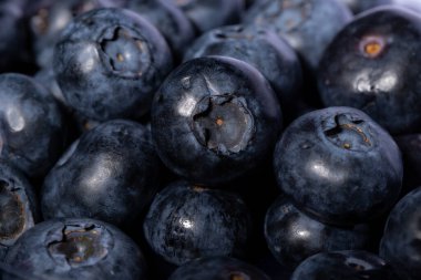 Taze taze yaban mersini yakın plan.