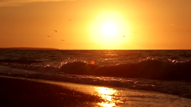Mar ao pôr do sol — Vídeo de Stock