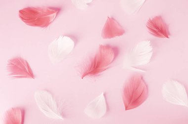 Pembe ve beyaz tüy deseni pembe arka planda yumuşak bir tonu var.