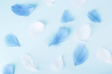 Mavi arkaplandaki mavi ve beyaz tüyler yumuşak vintage tonda