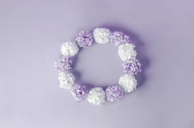 Mor arkaplanda yuvarlak çerçeve şekilli ortanca çiçeklerinin beyaz ve mor renkleri