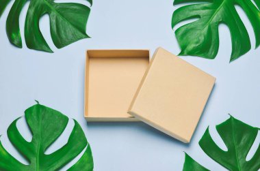 Kahverengi geri dönüşüm kutusu mavi ahşap arka planda yeşil yapraklı, boş hediye kutusu