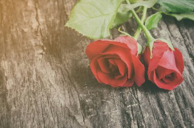 Ahşap arka plandaki kırmızı gül çiçeklerini kapat. Eski ve canlı bir tonla, Sevgililer Günü Gülü.
