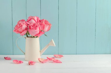 Solmuş pembe gül çiçekleri sulandırma tenekesinde beyaz ve mavi ahşap arka planda klasik tonda