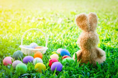 Renkli Paskalya yumurtaları ve yeşil çayır çimlerinin üzerinde beyaz sepetli klasik ve güneşli ışıklı tavşan bebeği.