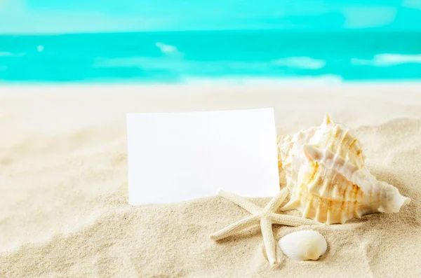 Spiaggia Sfondo Estivo Nota Carta Bianca Con Stelle Marine Conchiglie — Foto Stock