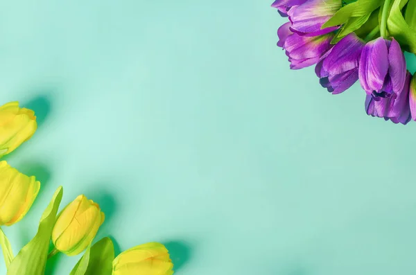 人工的な黄色と紫のチューリップの花花束ライトグリーンの背景 — ストック写真