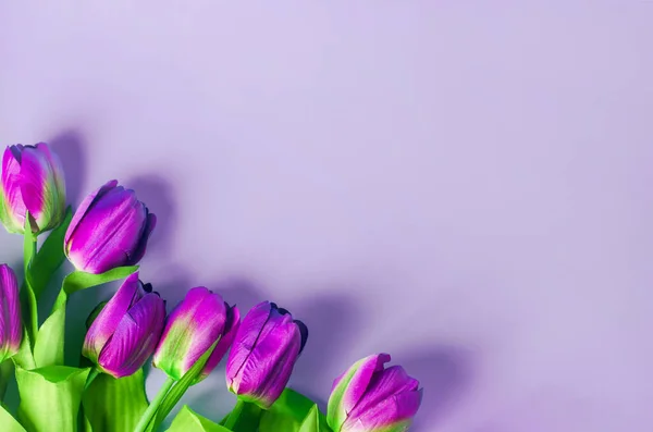 Künstliche Lila Tulpe Blumen Strauß Auf Hellviolettem Hintergrund — Stockfoto