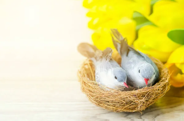 Close up of artificial couple birds with natural nest and yellow tulip flowers on white wooden table with sunlight