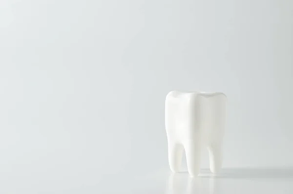 Close White Tooth Dental Model White Background — Stock Photo, Image