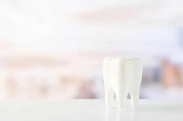 Close White Tooth Dental Model Blur Background — Stock Photo, Image