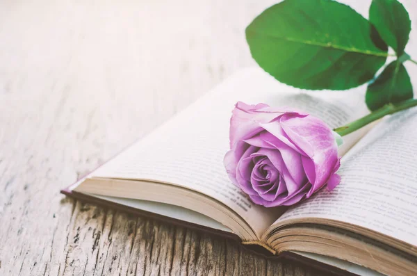 Primer Plano Violeta Rosa Púrpura Flor Libro Abierto Sobre Fondo — Foto de Stock