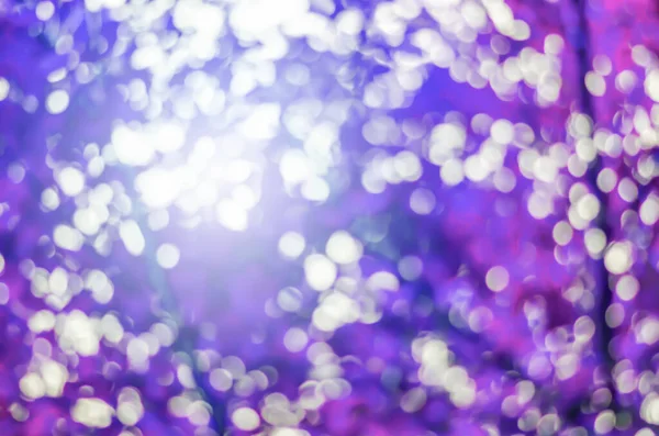 Природный Красивый Фиолетовый Bokeh Размытое Дерево Парк Фон Солнечным Светом — стоковое фото