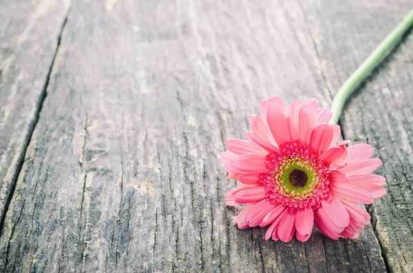 Rosa Gerbera Gänseblümchen Blume Auf Holztisch Mit Vintage Ton — Stockfoto