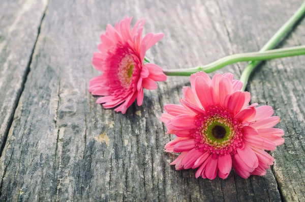 Rosa Gerbera Gänseblümchen Blume Auf Holztisch Mit Vintage Ton — Stockfoto