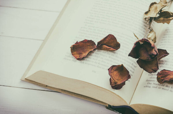 Dry roses flower at opened book on white wooden background with grunge and vintage tone