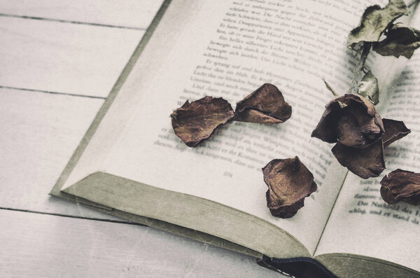Dry roses flower at opened book on white wooden background with grunge and vintage tone