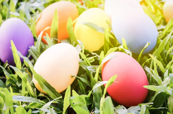 Colorful Easter eggs on green meadow grass with vintage tone and sunny light